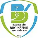 Logo du Balıkesir BBSK