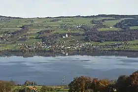 Une vue du lac depuis les hauteurs de Retschwil avec vue sur Gelfingen.