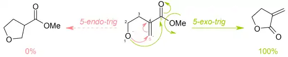 Réaction du 4-hydroxy-2-méthylènebutanoate de méthyle selon les règles de Baldwin