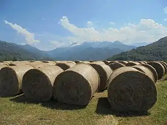 Balles rondes en moyenne montagne.