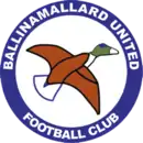 Logo du Ballinamallard United