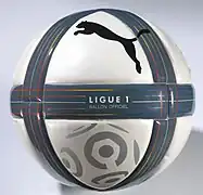 Ballon officiel 2010-2011.