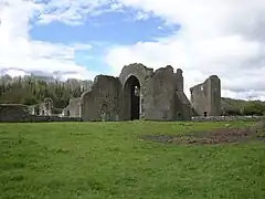 Les vestiges du prieuré de Ballybeg.