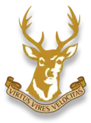 Logo du Ballynahinch RFC