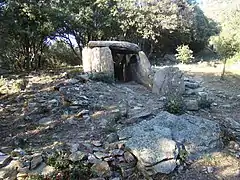 Vue du dolmen et de son tumulus depuis le sud.