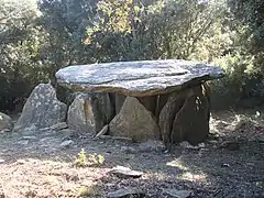 Le dolmen vu du nord. Sur la droite, la dalle de chevet, fendue.