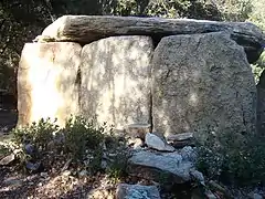 Face ouest du dolmen. Les dalles sont en bon état.