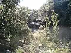 Le dolmen dans son environnement.