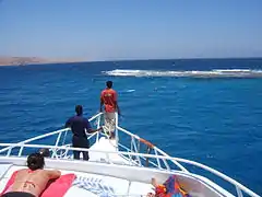 Promenade en mer sur Banana Reef.