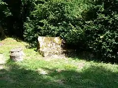 Le banc des vieillards, entrant aujourd'hui dans le Théâtre de verdure.