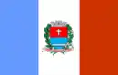 Drapeau de Penápolis