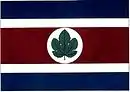 Drapeau de Taquarituba