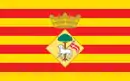 Drapeau de Sant Joan Despí