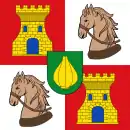 Drapeau de Vallelado