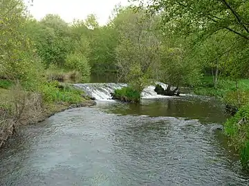 Le Bandiat au lieu-dit Chez Pey, en limite d'Abjat-sur-Bandiat à gauche et Augignac à droite.