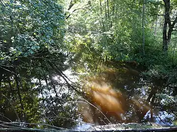 Le Bandiat près de Villejalet, en limite de Saint-Martin-le-Pin et de Lussas-et-Nontronneau.