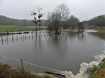 Le Bandiat en crue près de la Renardière, en limite de Lussas-et-Nontronneau et Javerlhac-et-la-Chapelle-Saint-Robert, en janvier 2018.