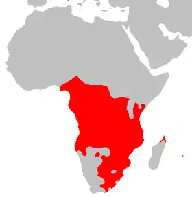 carte de l'Afrique avec une vaste zone en rouge, couvrant la majeure partie du continent au sud de l'équateur