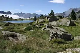 Le lac est entouré de blocs de granit et de pins de montagne.