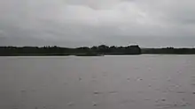 Étendue d'eau avec une forêt en arrière plan.