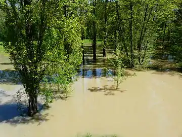 Crue du Barailler, en limite du Fleix et de Saint-Pierre-d'Eyraud, en mai 2012.