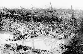 Photo d'un champ de barbelés de Beaumont-Hamel en 1916.
