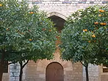 Maison en brique, cachée par des arbres aux feuilles vertes dans lesquelles sont situés des oranges.