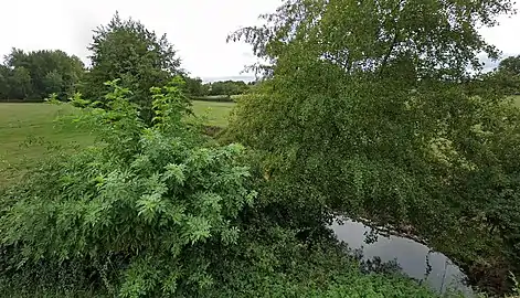 Le Bardon, affluent de l'Arçon,au pont Rigon (route des Varennes)