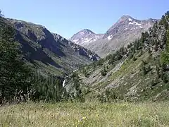 Le vallon du Bardoney et le torrent Nouva.