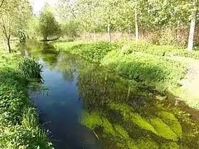 Ru des Barentons à Barenton-Bugny