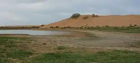 Des dunes dans le désert Ryn.