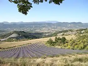 Image illustrative de l’article Baronnies (Dauphiné)