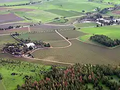 Vignoble de la Barossa.