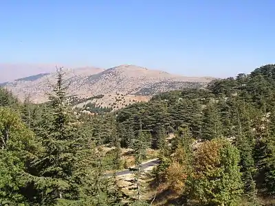 Barouk (village)