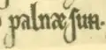 N barré dans palnæ sun dans le manuscrit K 1241 Corpus diplomatum regni Danici no 27.