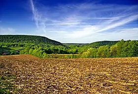 Barry Township (comté de Schuylkill, Pennsylvanie)