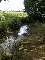 Le ruisseau des Longs à Bascons.