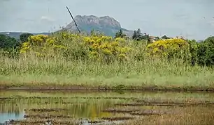 Base Nature François Léotard.