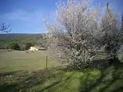 Bastide depuis la chapelle