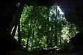 Une grotte, repaire de chauves-souris et forêt tropicale humide avec des arbres de 15 à 25 m de haut.