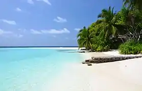 Paysage des Maldives.