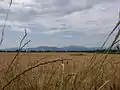 Vue des champs à l'ouest de la commune.