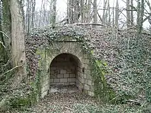 Porte arquée murée formant un thalus dans une forêt