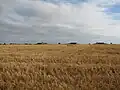 Vue depuis le chemin côtier des 4 casemates de tir, situées plus en arrière de la falaise.