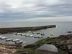 Bateaux de plaisance protégés d'un brise-lames