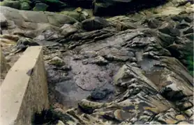 Photographie d’un dépôt de mazout sur des rochers.