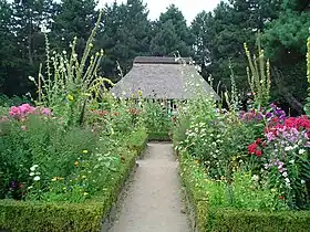 Image illustrative de l’article Jardin botanique de Hambourg