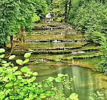 Nassis sur le Dard au-dessus de la cascade de Baume-les-Messieurs.