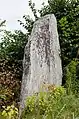 Vue du menhir no 2 en 2012.