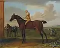 Bay Wanton, sur Newmarket Heath avec jockey, 1725, par John Wootton, peut-être un fils de Bay Bolton.